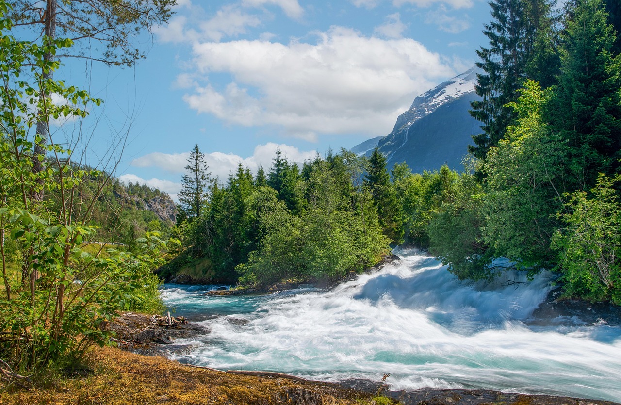 Norsk villmark, med elver, skog og fjell, får i stor grad utvikle seg på egne premisser.